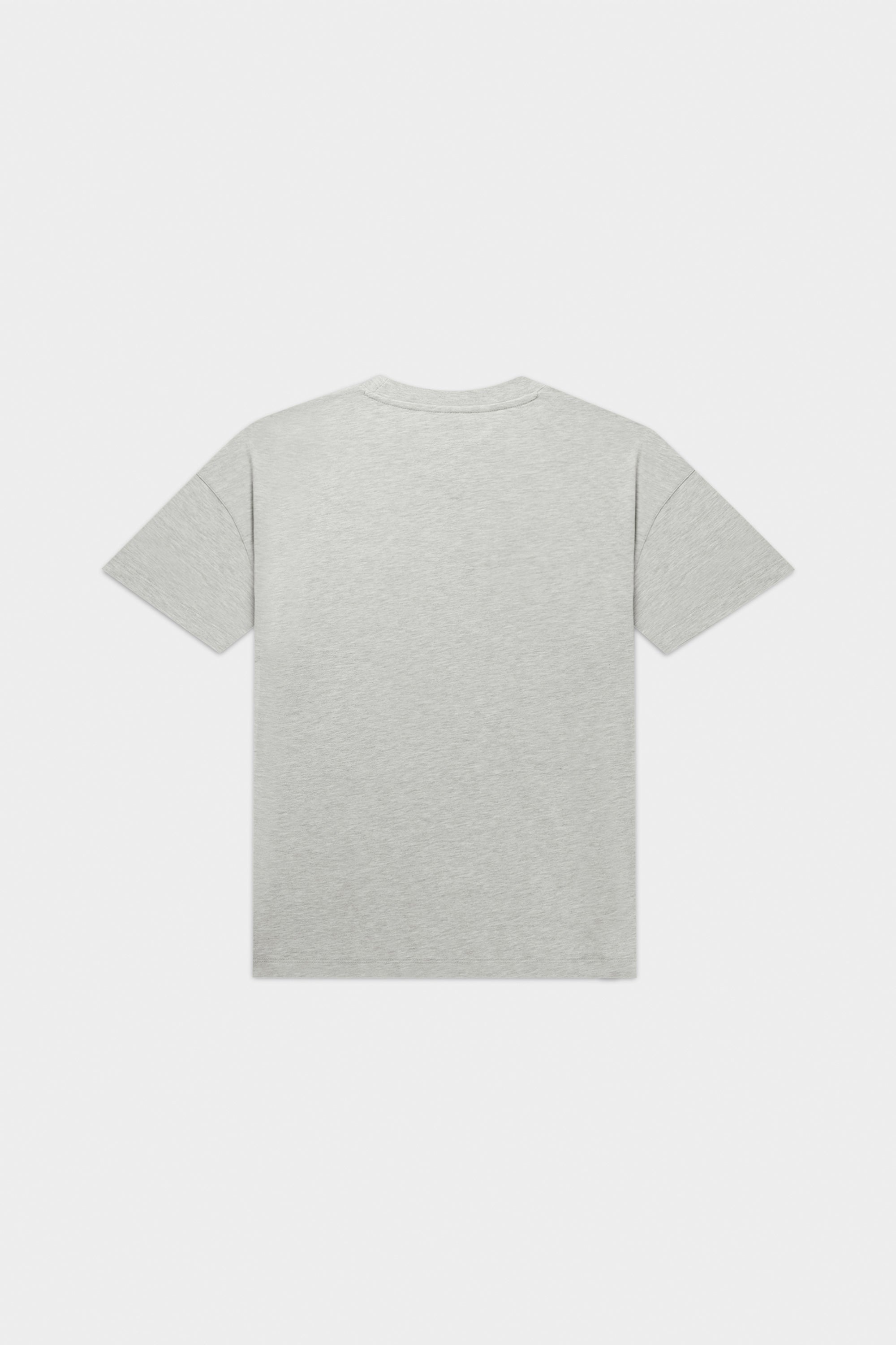 Logo Box Camiseta LT Grey Melange